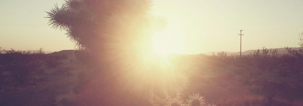 Webdesign Agentur in Hamburg